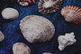 Mijölnir Seashell Juego de alfombrillas de baño Multicolor
